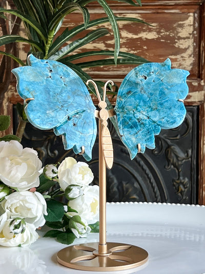 BLUE APATITE BUTTERFLY WINGS ON STAND Revive In Style Vintage Furniture Painted Refinished Redesign Beautiful One of a Kind Artistic Antique Unique Home Decor Interior Design French Country Shabby Chic Cottage Farmhouse Grandmillenial Coastal Chalk Paint Metallic Glam Eclectic Quality Dovetailed Rustic Furniture Painter Pinterest Bedroom Living Room Entryway Kitchen Home Trends House Styles Decorating ideas