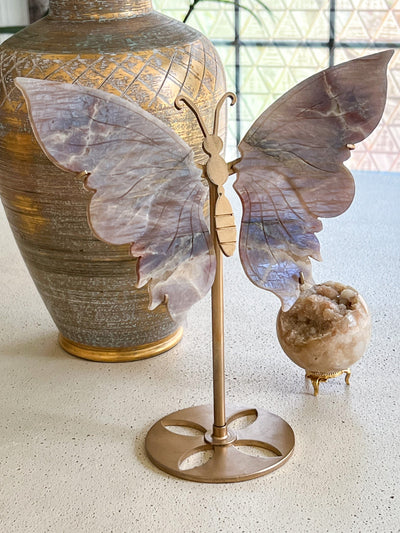 MOONSTONE BUTTERFLY WINGS WITH RAINBOW FLASH ON STAND (LARGE) Revive In Style Vintage Furniture Painted Refinished Redesign Beautiful One of a Kind Artistic Antique Unique Home Decor Interior Design French Country Shabby Chic Cottage Farmhouse Grandmillenial Coastal Chalk Paint Metallic Glam Eclectic Quality Dovetailed Rustic Furniture Painter Pinterest Bedroom Living Room Entryway Kitchen Home Trends House Styles Decorating ideas
