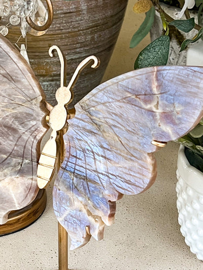 MOONSTONE BUTTERFLY WINGS WITH RAINBOW FLASH ON STAND (LARGE) Revive In Style Vintage Furniture Painted Refinished Redesign Beautiful One of a Kind Artistic Antique Unique Home Decor Interior Design French Country Shabby Chic Cottage Farmhouse Grandmillenial Coastal Chalk Paint Metallic Glam Eclectic Quality Dovetailed Rustic Furniture Painter Pinterest Bedroom Living Room Entryway Kitchen Home Trends House Styles Decorating ideas